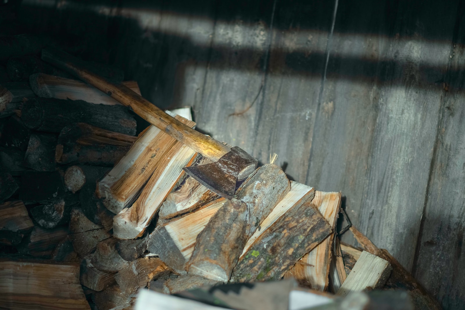 brown and gray wood log